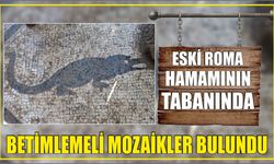 Eski Roma hamamının tabanında betimlemeli mozaikler bulundu