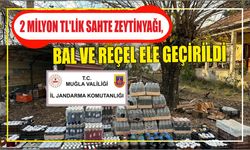 2 milyon TL'lik sahte zeytinyağı, bal ve reçel ele geçirildi