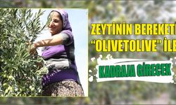 Zeytinin bereketi “OLIVEtoLIVE” ile kadraja girecek