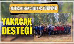 Büyükşehirden Soğuk Kış Günlerinde Yakacak Desteği