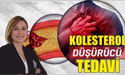 Kolesterol düşürücü tedavi