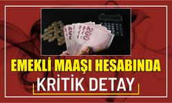 EMEKLİ MAAŞI HESABINDA KRİTİK DETAY