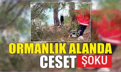 Ormanlık Alanda Ceset Şoku