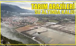 Tarım arazileri su altında kaldı