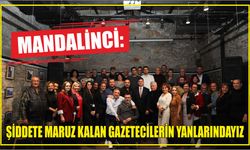 Mandalinci: Şiddete maruz kalan gazetecilerin yanlarındayız