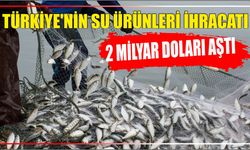 Türkiye’nin su ürünleri ihracatı 2 milyar doları aştı