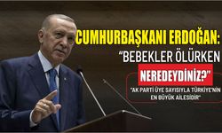 Cumhurbaşkanı Erdoğan: “Bebekler ölürken neredeydiniz?”