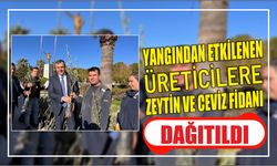 Yangından etkilenen üreticilere zeytin ve ceviz fidanı dağıtıldı