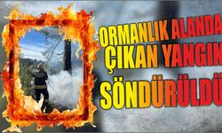 Ormanlık alanda çıkan yangın söndürüldü