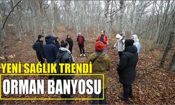 Yeni sağlık trendi Orman Banyosu