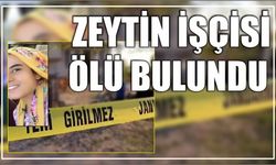 Zeytin İşçisi Ölü Bulundu