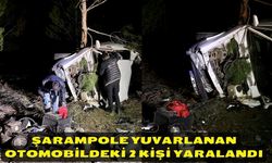 Şarampole yuvarlanan otomobildeki 2 kişi yaralandı