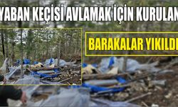 Yaban keçisi avlamak için kurulan barakalar yıkıldı