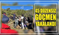 45 düzensiz göçmen yakalandı