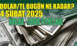 Dolar/TL bugün ne kadar? 4 Şubat 2025 dolar - Euro fiyatları