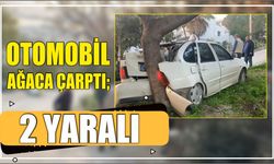 Otomobil Ağaca Çarptı; 2 Yaralı