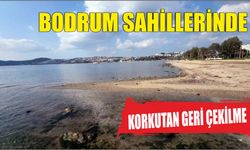 Bodrum sahillerinde korkutan geri çekilme