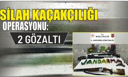 Silah kaçakçılığı operasyonu: 2 gözaltı