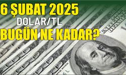 6 Şubat 2025 Dolar/TL bugün ne kadar?