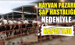 Hayvan pazarı şap hastalığı nedeniyle kapatıldı