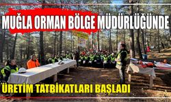 Muğla Orman Bölge Müdürlüğünde üretim tatbikatları başladı