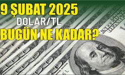 9 Şubat Dolar/TL bugün ne kadar?