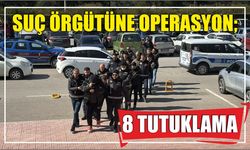 Suç örgütüne operasyon; 8 tutuklama