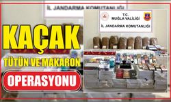 Kaçak tütün ve makaron operasyonu