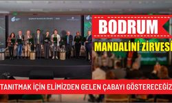 Bodrum Mandalini Zirvesi