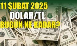 11 Şubat 2025 Dolar/TL bugün ne kadar?