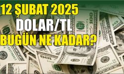 12 Şubat 2025 Dolar/TL bugün ne kadar?