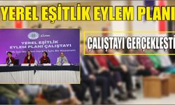 Yerel Eşitlik Eylem Planı Çalıştayı Gerçekleşti