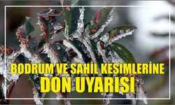 Bodrum ve sahil kesimlerine don uyarısı