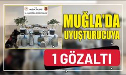 Muğla'da uyuşturucuya 1 gözaltı