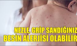 NEZLE, GRİP SANDIĞINIZ BESİN ALERJİSİ OLABİLİR