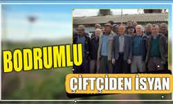 Bodrumlu çiftçiden isyan