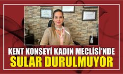 KENT KONSEYİ KADIN MECLİSİ’NDE SULAR DURULMUYOR