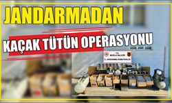 Jandarmadan Kaçak Tütün Operasyonu