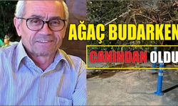 Ağaç budarken canından oldu