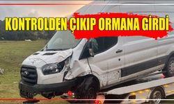 Kontrolden Çıkıp Ormana Girdi