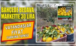 Bahçede Bedava, Markette 30 Lira