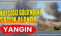 KÖYCEĞİZ GÖLÜ’NDEKİ SAZLIK ALANDA YANGIN