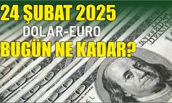 24 ŞUBAT 2025 DOLAR-EURO BUGÜN NE KADAR?