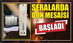 Seralarda Don Mesaisi Başladı