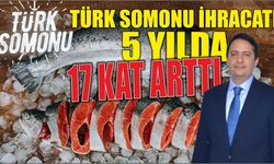 Türk somonu ihracatı 5 yılda 17 kat arttı