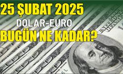 24 ŞUBAT 2025 DOLAR-EURO BUGÜN NE KADAR?