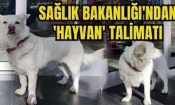 Sağlık Bakanlığı'ndan 'hayvan' talimatı