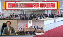 Meclis Kararına Suç Duyurusu