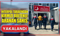 Interpol tarafından kırmızı bültenle aranan şahıs yakalandı