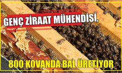 Genç ziraat mühendisi, 800 kovanda bal üretiyor